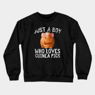 Just A Boy Who Loves Guinea pigs Crewneck Sweatshirt